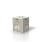 Чайник со свистком 2.7 л.